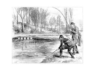 Trouting