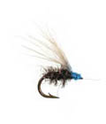 Black Louper