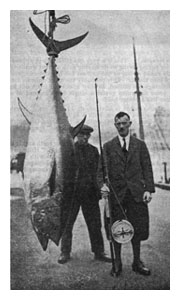 Harold Hardy and tunny