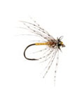 Swarbrick Orange Partridge